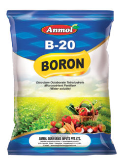 B-20 Boron 20%