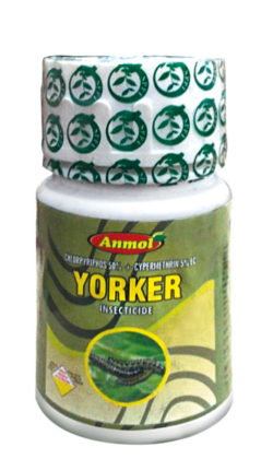 Yorker